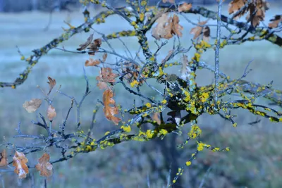 DSC_5830 (Large).JPG